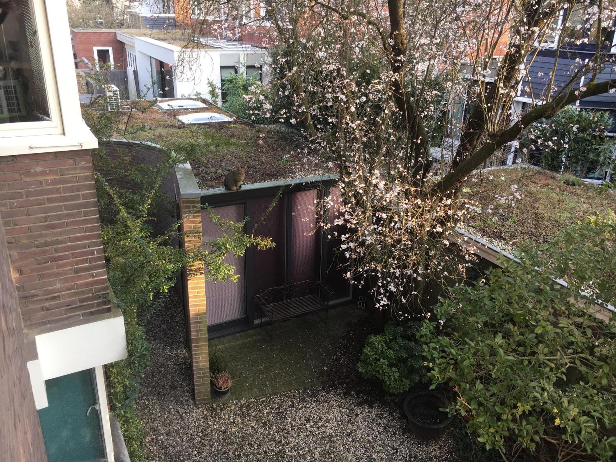 住宿办公050住宿加早餐旅馆 格罗宁根 外观 照片