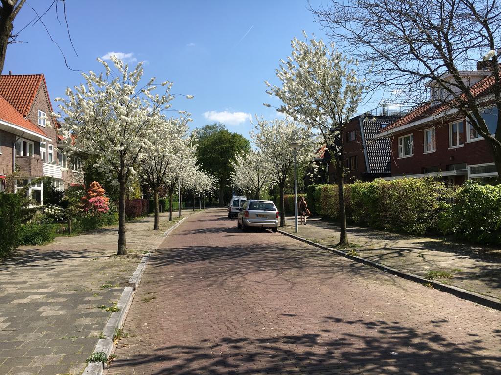 住宿办公050住宿加早餐旅馆 格罗宁根 外观 照片